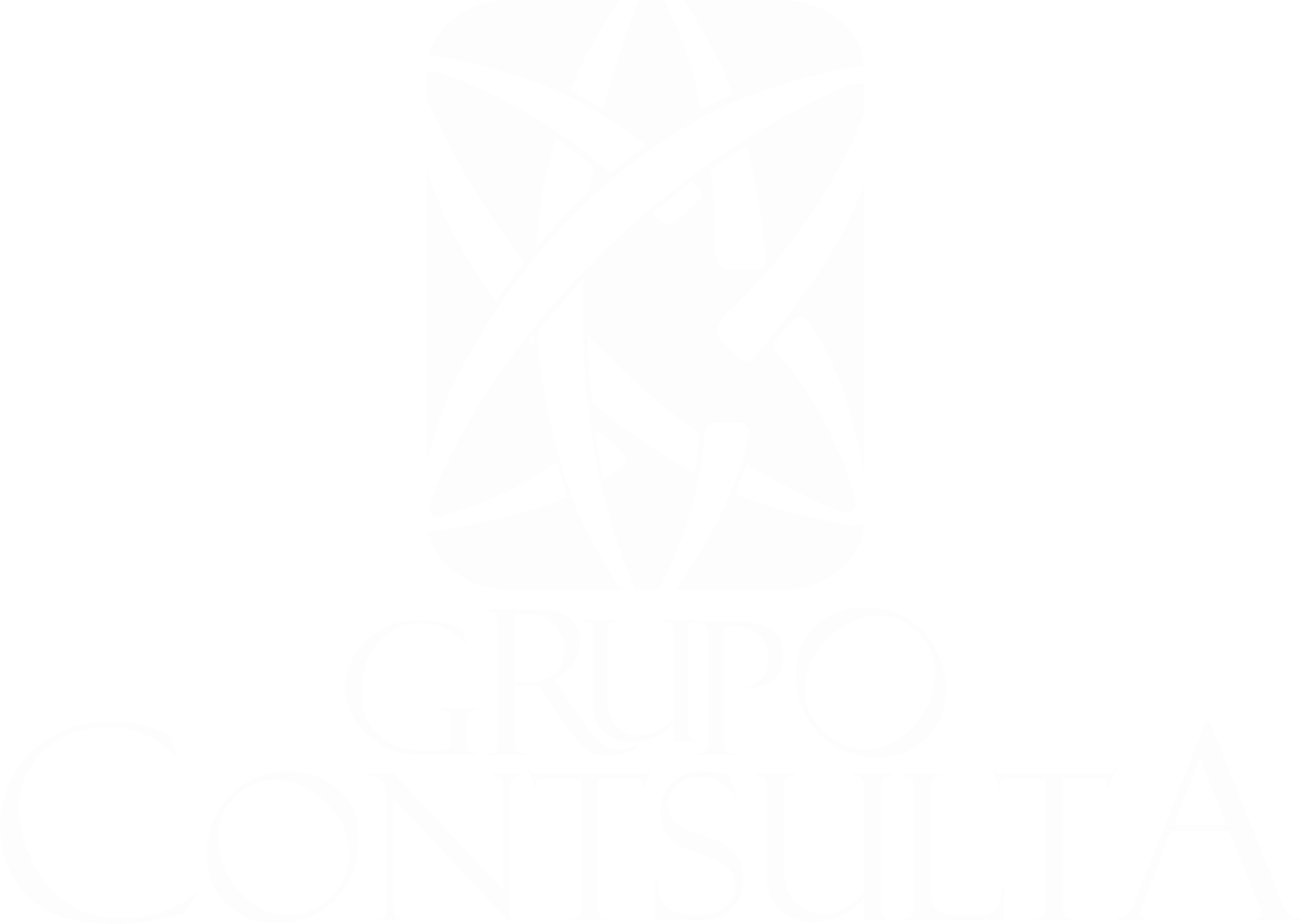 Grupo CONTSULTA